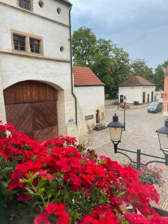 Pension Alt Naumburg Наумбург Екстер'єр фото